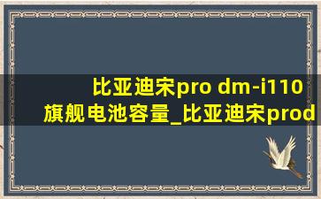 比亚迪宋pro dm-i110旗舰电池容量_比亚迪宋prodmi110旗舰版电池容量